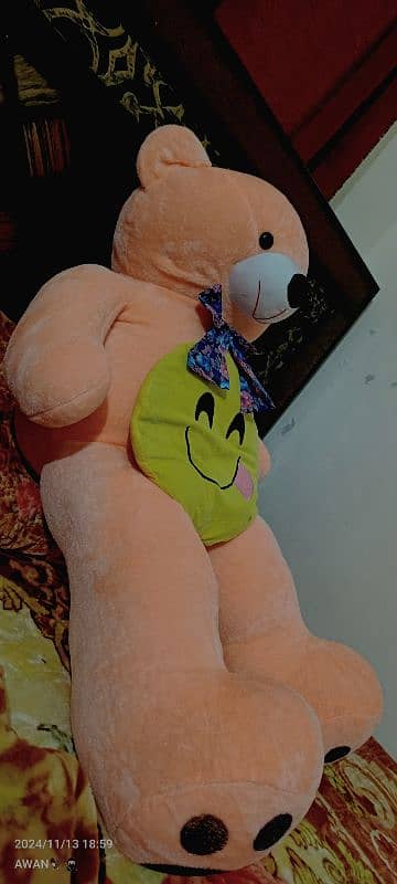 Tedy Bear pikish colour 2