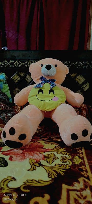 Tedy Bear pikish colour 3