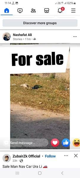 moor for sale 0