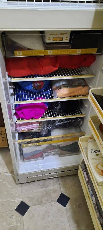 Fridge 4