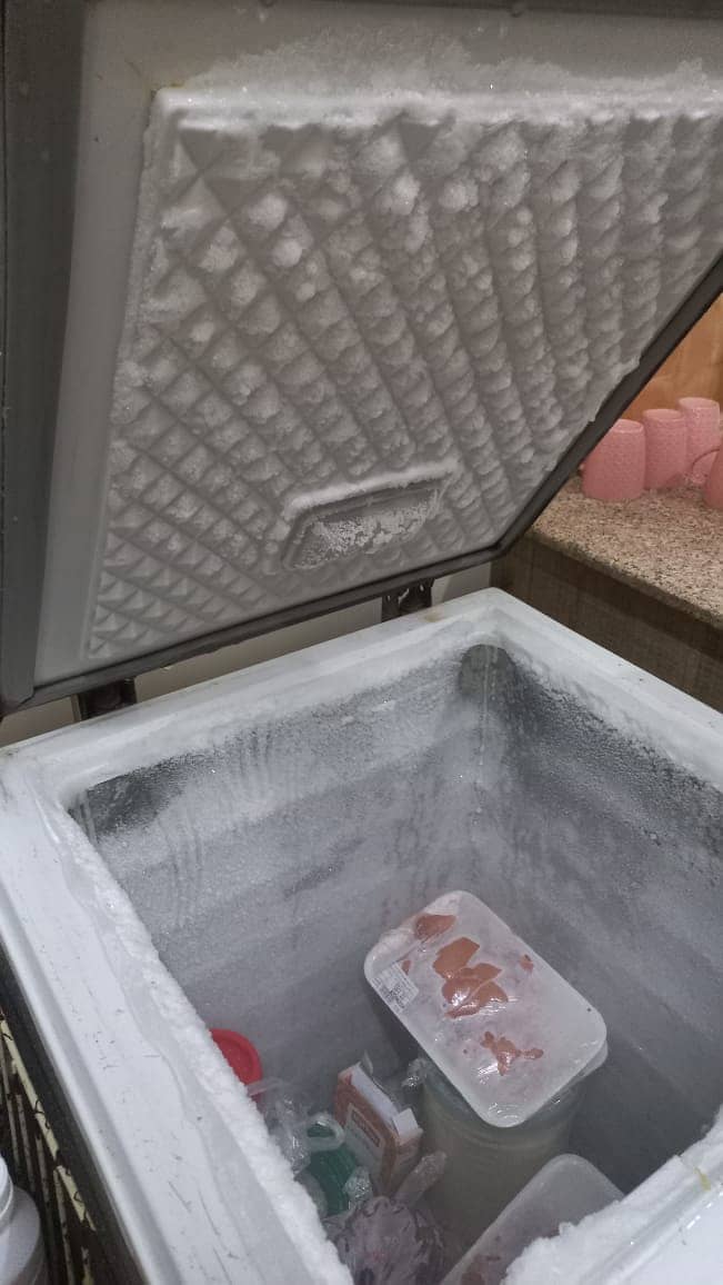 Deep Freezer + Fridge for Sale 0