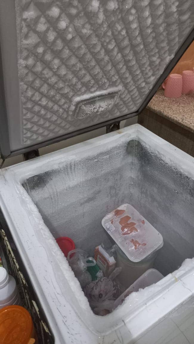 Deep Freezer + Fridge for Sale 1