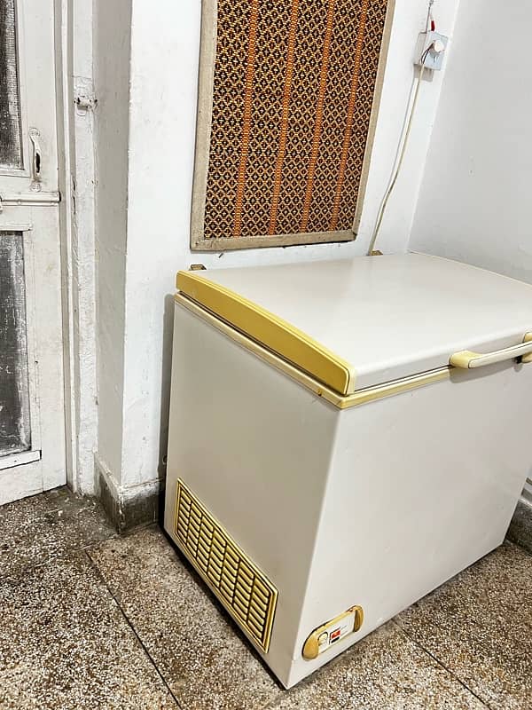 WAWES COMPANY DEEP FREEZER 1