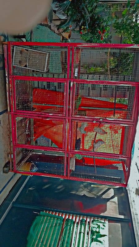 Birds cage all good urgent sale 3