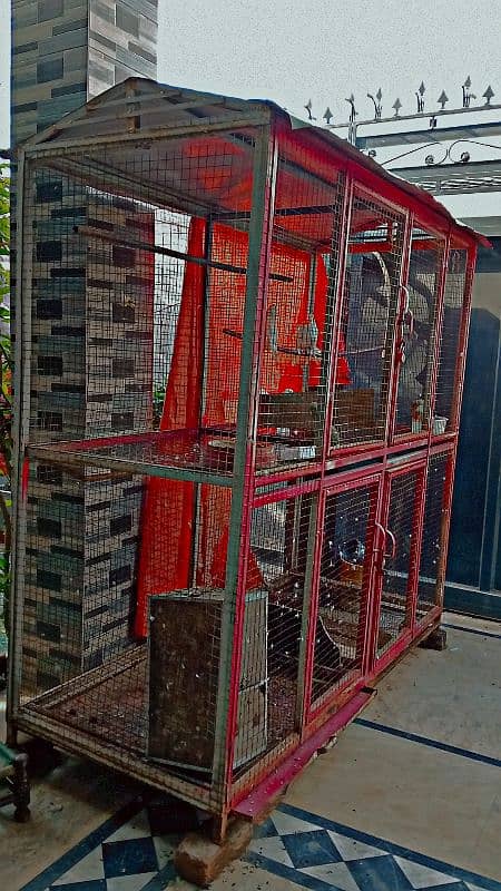 Birds cage all good urgent sale 4