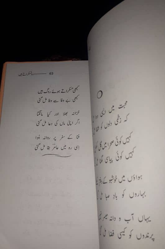 درد مسکراتے ہیں 2