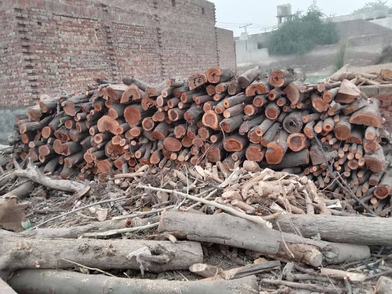 Mughal Timber Marchant & Ara Markit 1