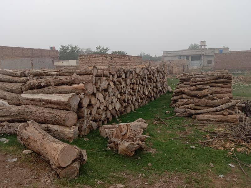 Mughal Timber Marchant & Ara Markit 2