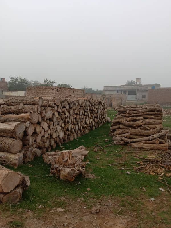 Mughal Timber Marchant & Ara Markit 16