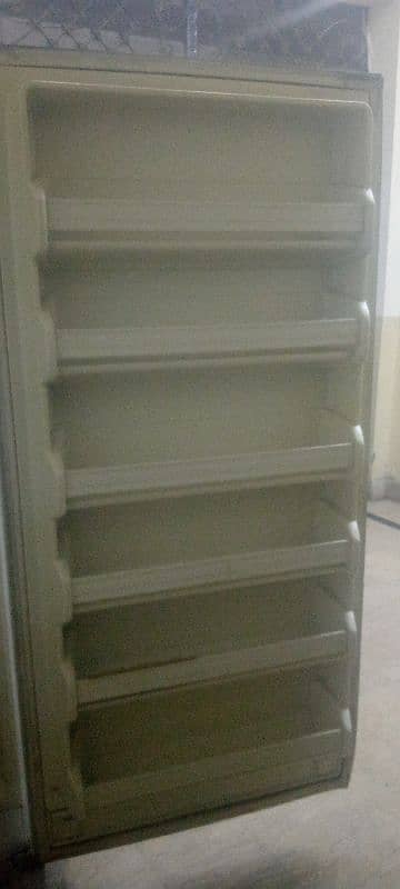 imported Freezer (Forest free commercial freezer) 3