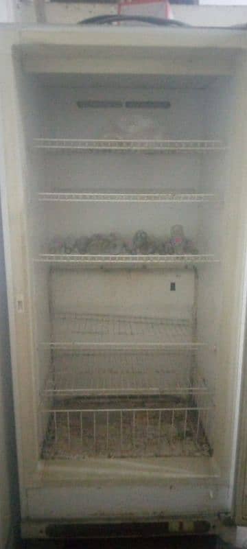 imported Freezer (Forest free commercial freezer) 4