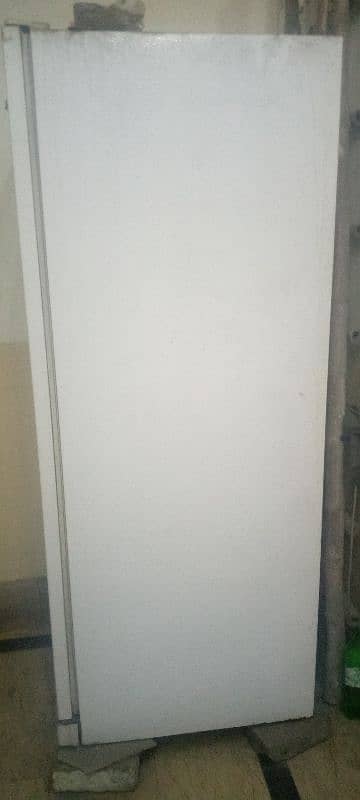 imported Freezer (Forest free commercial freezer) 5