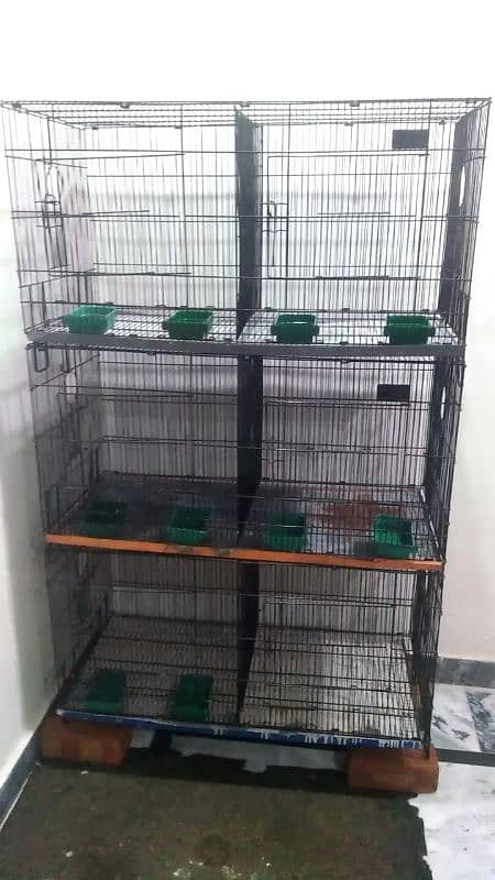 cage for sale/folding cage for aseels/birds/hens/patha/madi 0