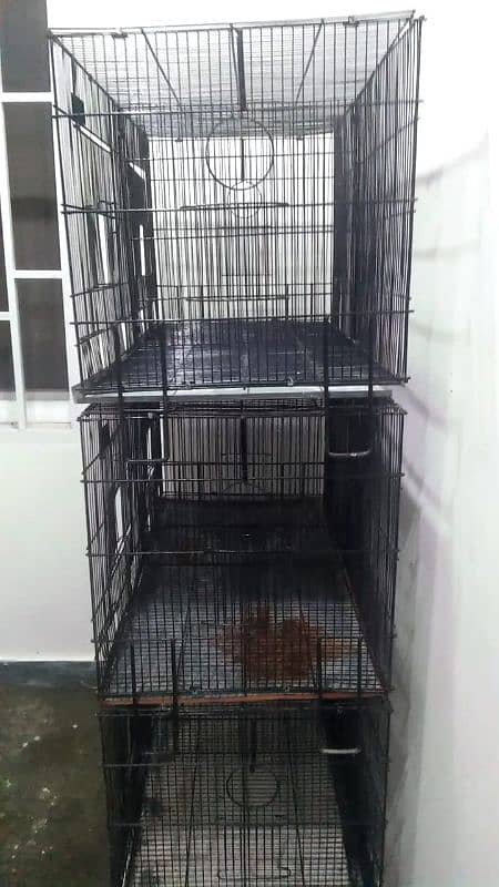 cage for sale/folding cage for aseels/birds/hens/patha/madi 1