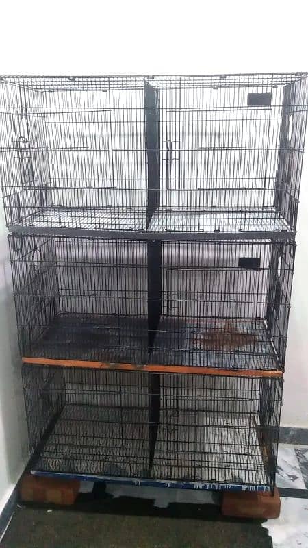 cage for sale/folding cage for aseels/birds/hens/patha/madi 2