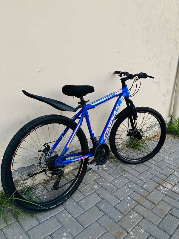 Caspian MTB Mountain Bike 2