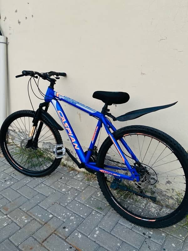 Caspian MTB Mountain Bike 3