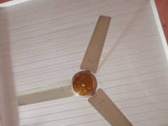 ceiling fan for sale wahid fans