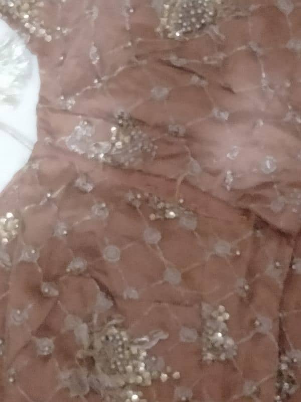 Lehenga and blouse 4