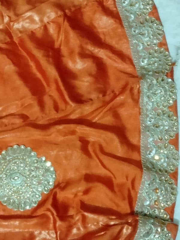 Lehenga and blouse 2