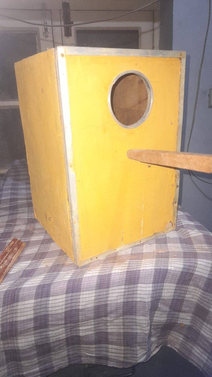 Urgent love bird pair And 2 cocktail box for sale 5