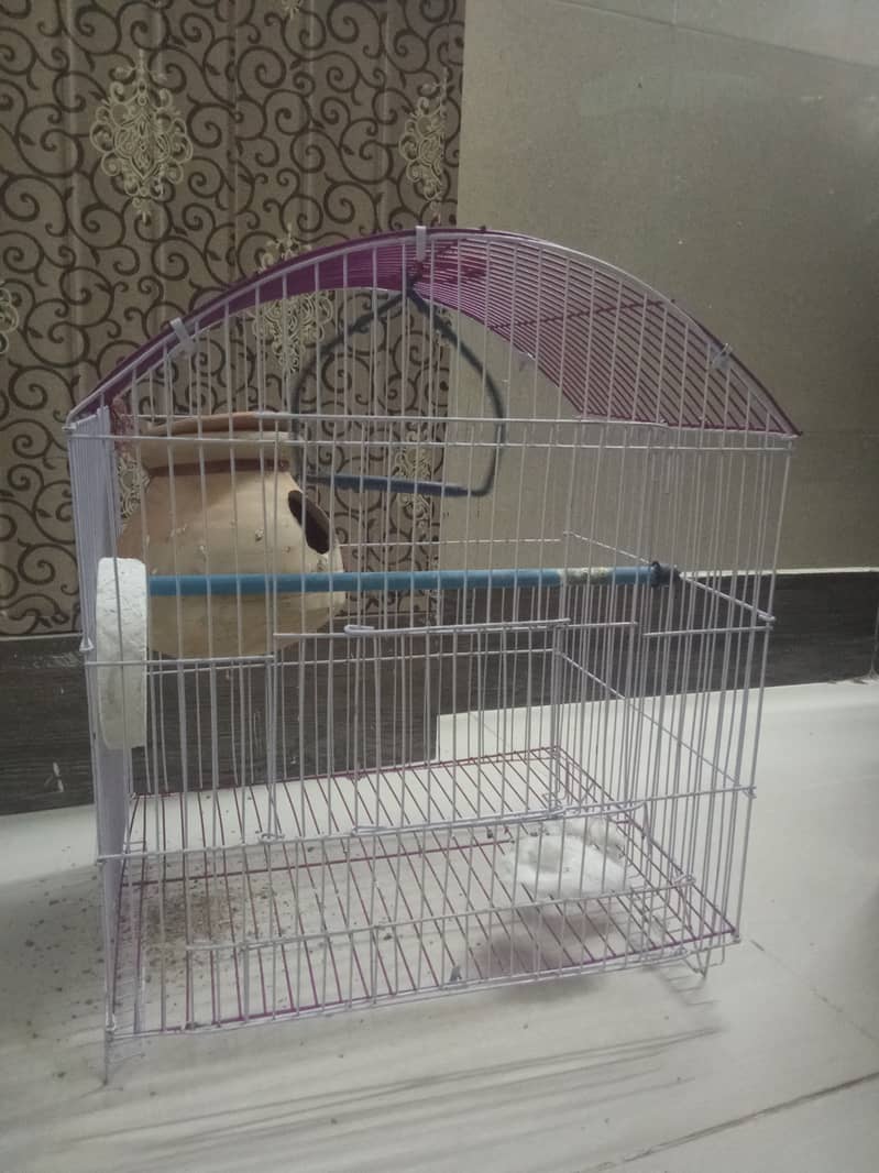 Love bird ka chota bacha hai for sale with cage 0