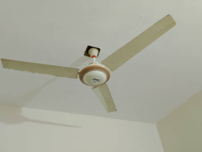 used fan in 3000 big wings 2