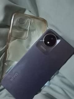 vivo