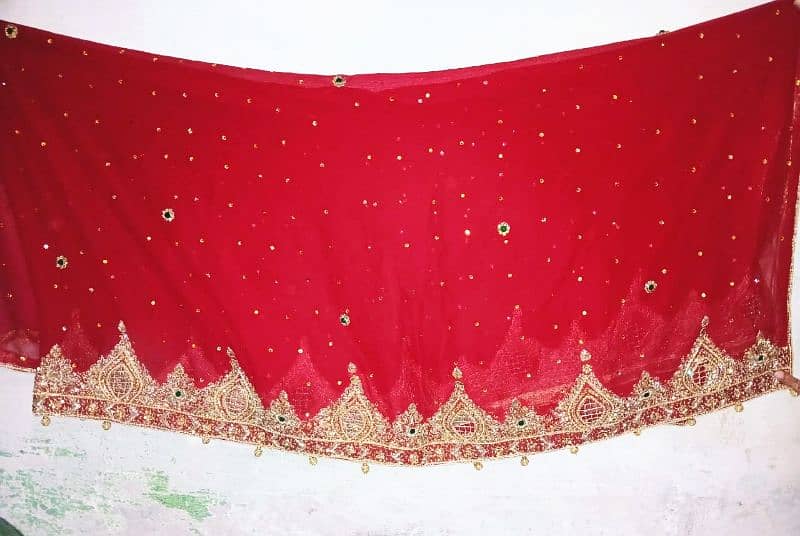 Branded quality lehnga available h with all over the Pakistan delivery 6