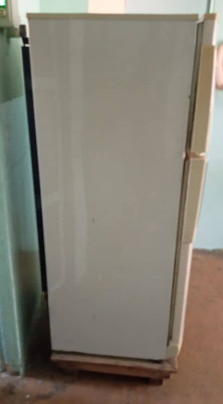 Pel Classic Crystal Refrigerator 14 cubic feet, Only Serious People 13