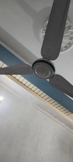 12 V d. c fan