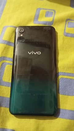 Vivo