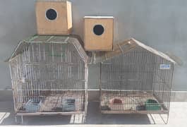 2 Cage 2 Box price 2500