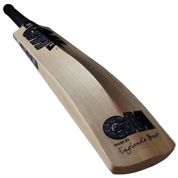 hardball Bat 1