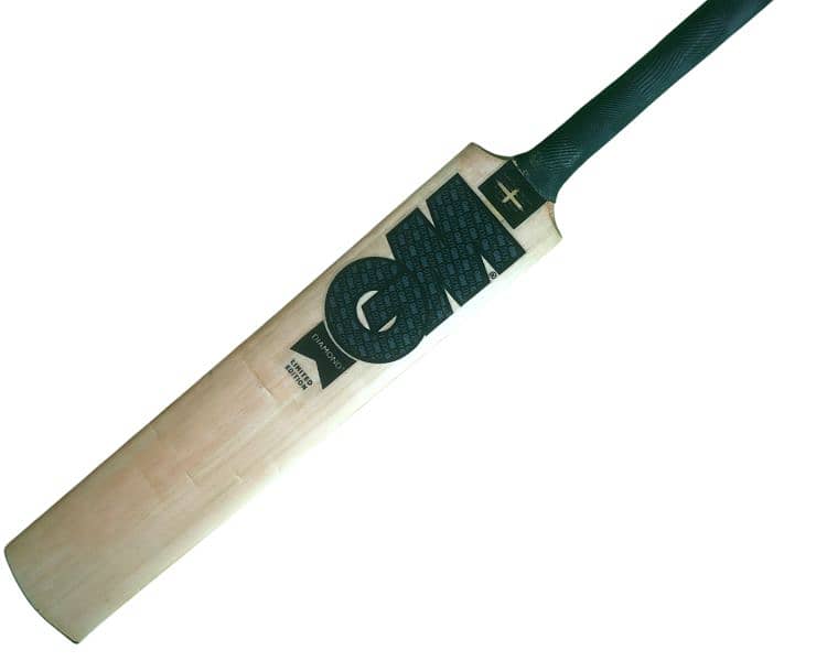 hardball Bat 2