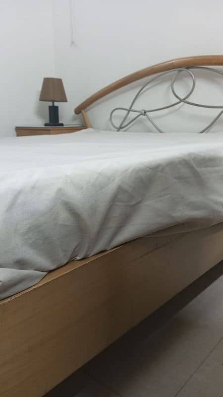 Master Molty foam with mattress with cover 1