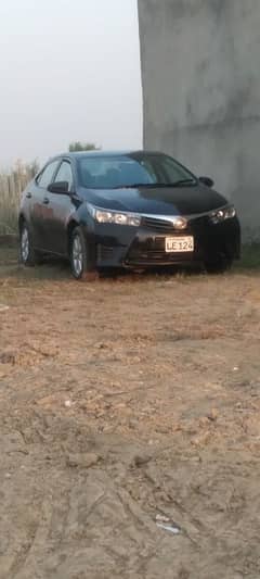 altis for rent