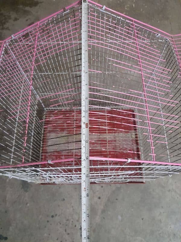 bird cage 3