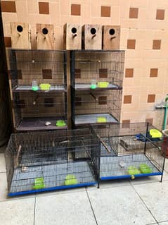 Complete Cages Setup  with Boxes, Sticks, Pots