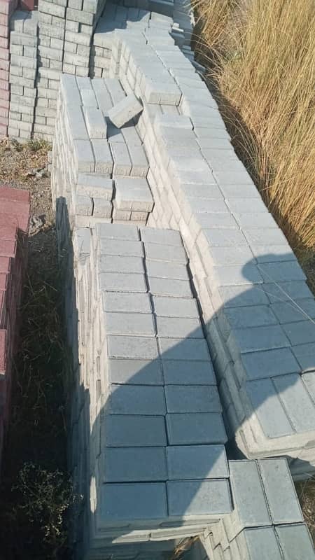 pavers, curb stone solid blocks fly ash bricks 9