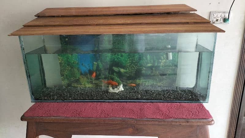 Fish aquarium for sale 0