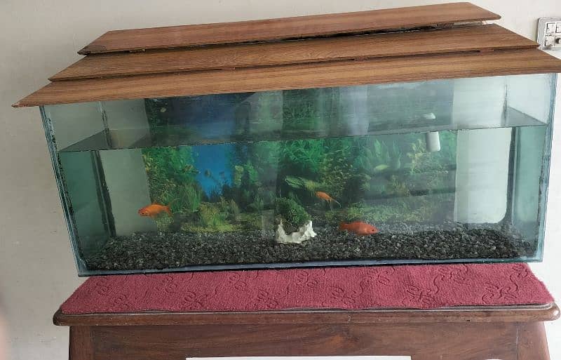 Fish aquarium for sale 1