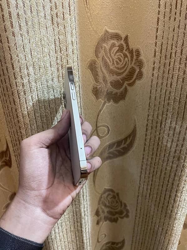 IPHONE 12 PRO PTA APPROVED 5