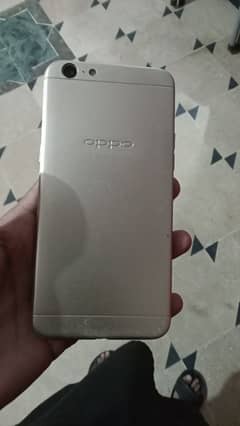 oppo