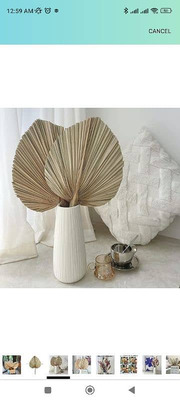 Dried Palm Leaves, Dried Pampas Grass Déco, 17 inch 0