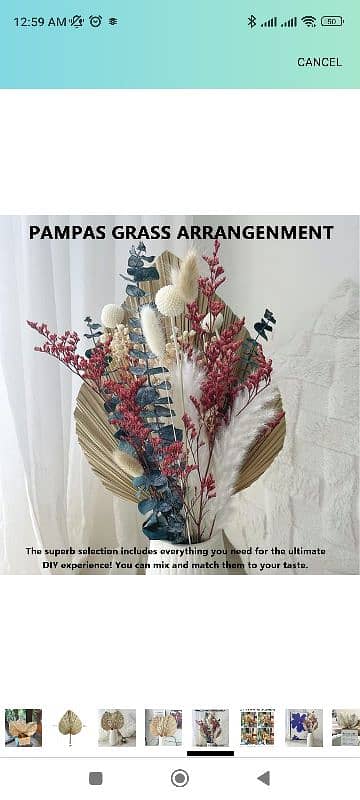 Dried Palm Leaves, Dried Pampas Grass Déco, 17 inch 4