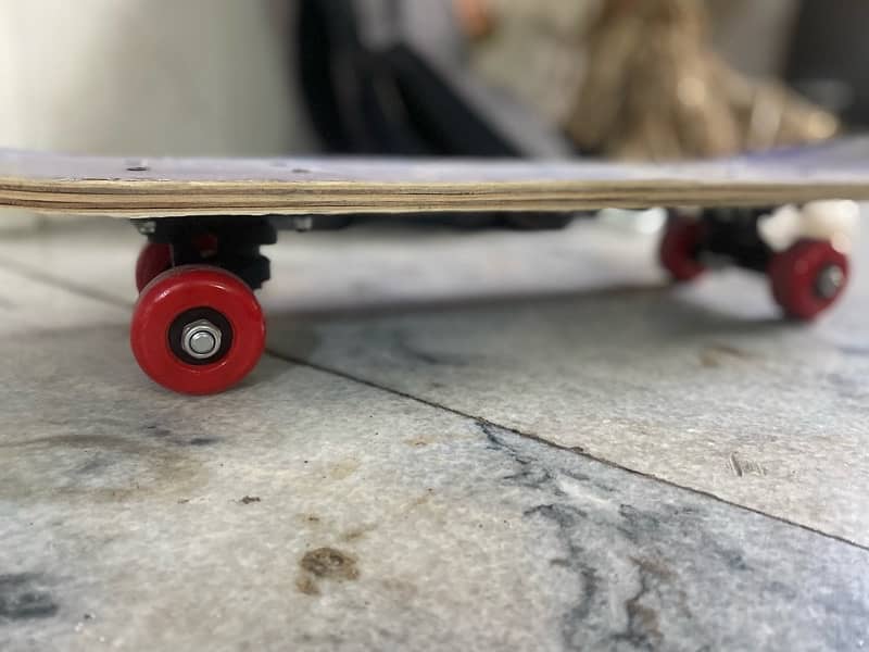 skateboard 1