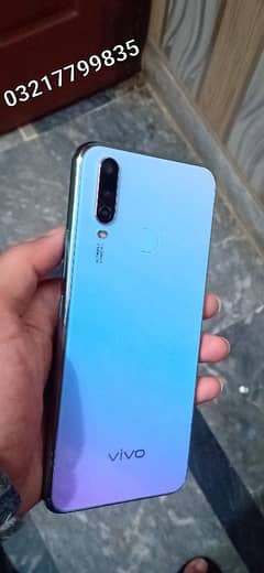 Vivo