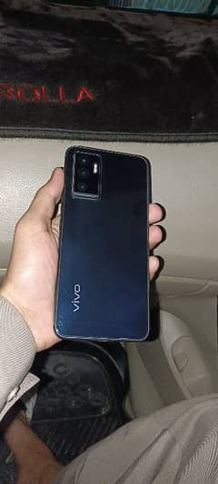 vivo