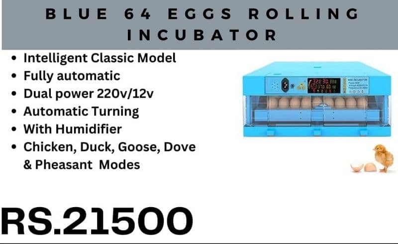 Imported automatic incubators available 8,18,24,26,36,56,64,70 eggs 11